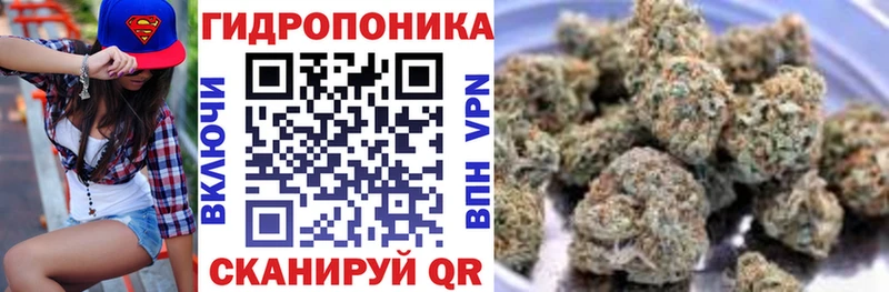 Купить Элиста Кодеин  Мефедрон  ГАШ  А ПВП 