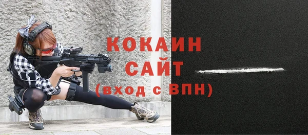прущий лед Алзамай