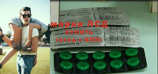 прущий лед Алзамай