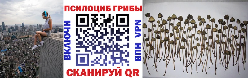 Псилоцибиновые грибы Magic Shrooms  Элиста 